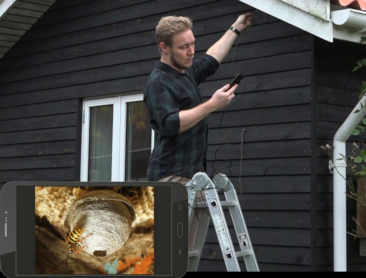 Inspektionskamera: Tjek dit udhæng for hvepsebo med inspektionskamera! Inspektionskamera: Tjek dit udhæng for hvepsebo med inspektionskamera!